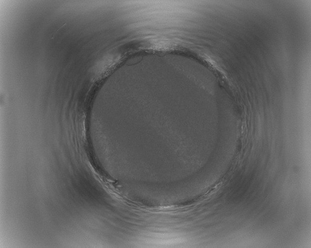 X0000061760685200512161744