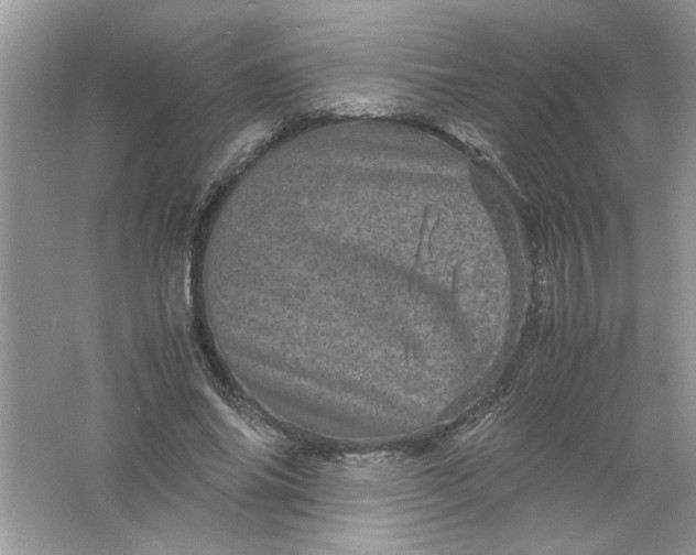 X0000061760686200512161744