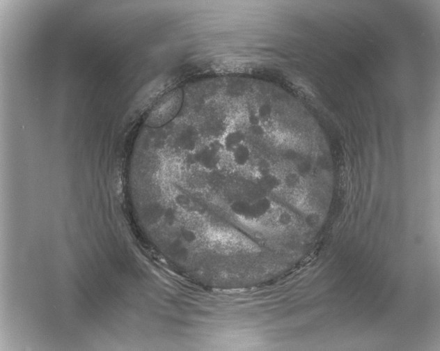 X0000061760687200512161744