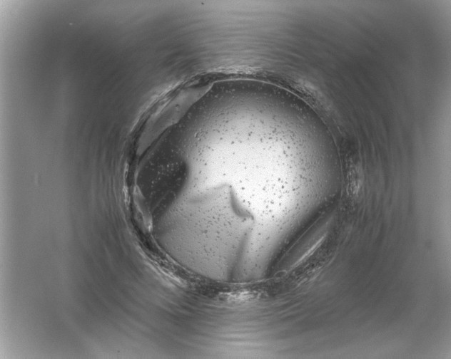 X0000061760688200512161744