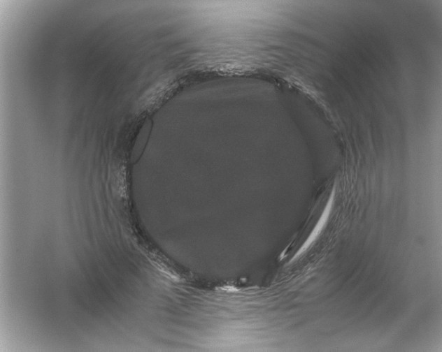 X0000061760689200512161744