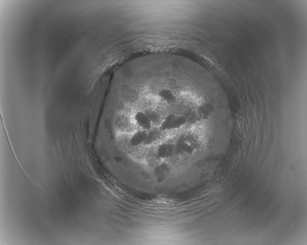 X0000061760691200512161744