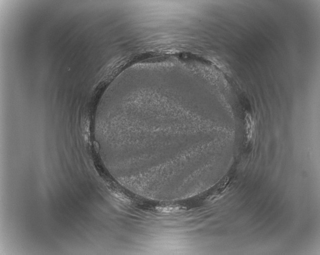 X0000061760693200512161744