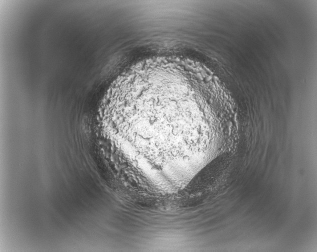 X0000061760695200512161744