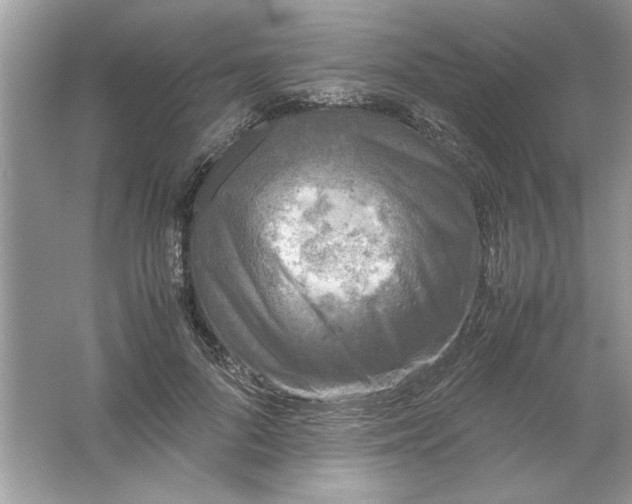 X0000061760696200512161744