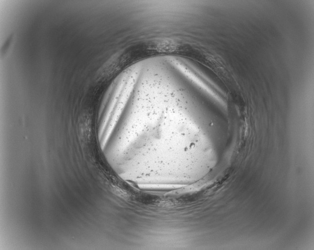 X0000061760697200512161744