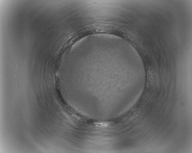 X0000061760698200512161744