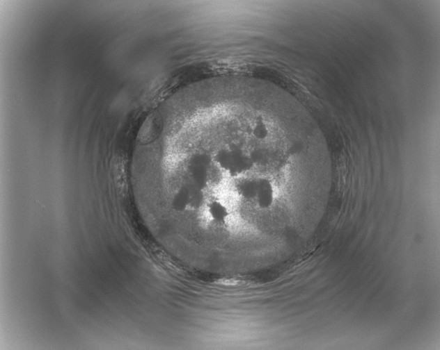 X0000061760699200512161744