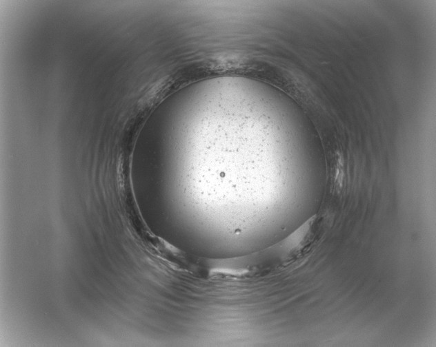 X0000061760700200512161744