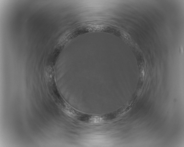 X0000061760701200512161744