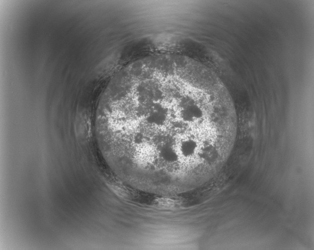 X0000061760703200512161744