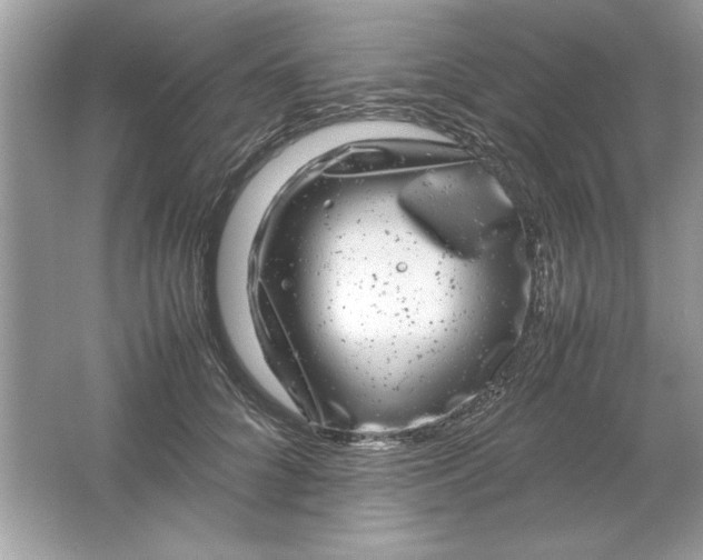 X0000061760704200512161744