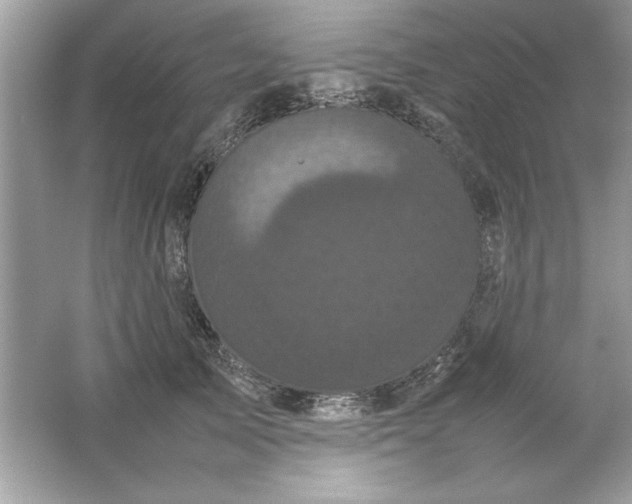 X0000061760705200512161743