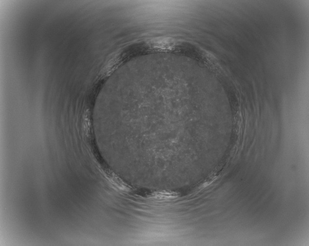 X0000061760707200512161743