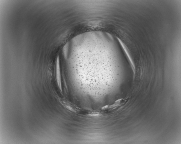 X0000061760710200512161743