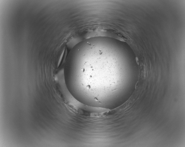 X0000061760712200512161743