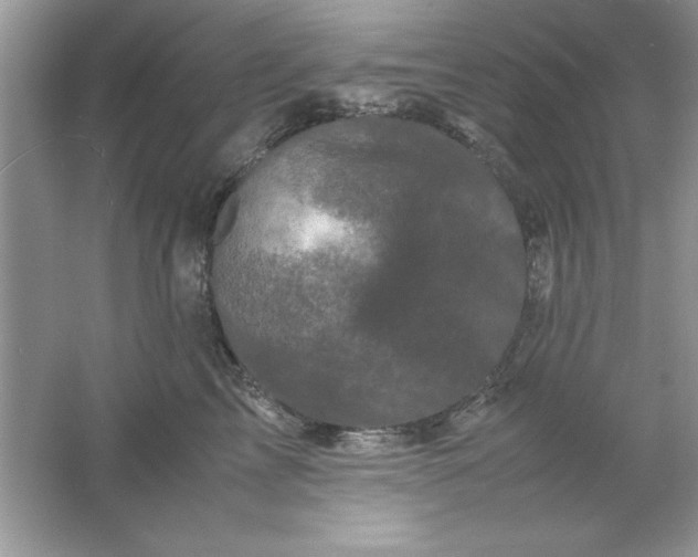 X0000061760713200512161743