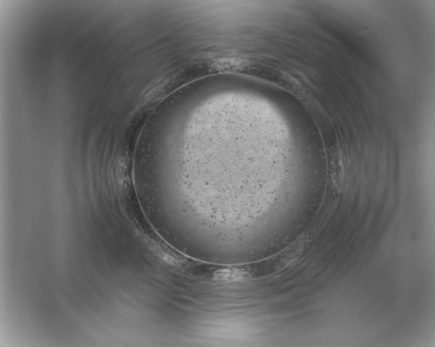 X0000061760714200512161743