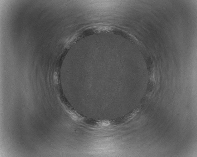 X0000061760715200512161743