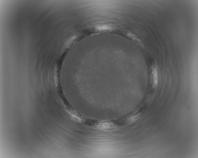 X0000061760716200512161743