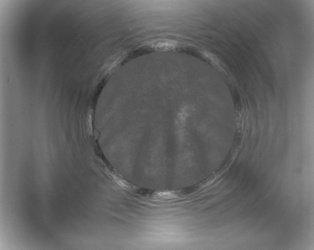 X0000061760717200512161743