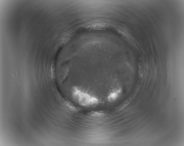 X0000061760718200512161743