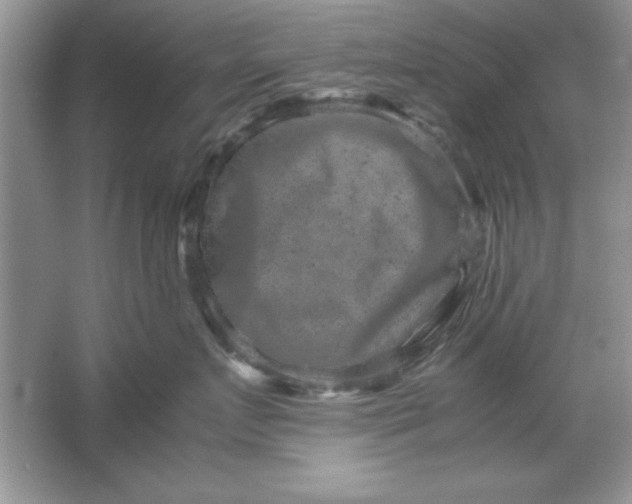 X0000061760719200512161743