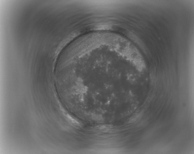 X0000061760721200512161742