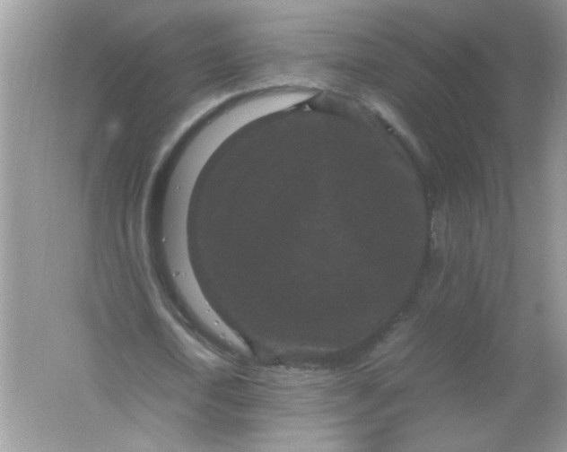 X0000061760722200512161742