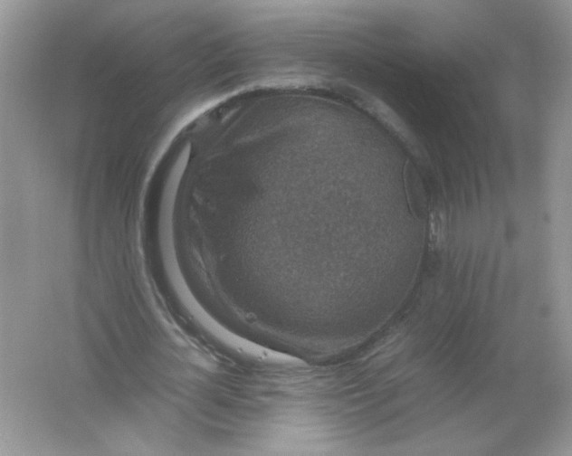 X0000061760724200512161742