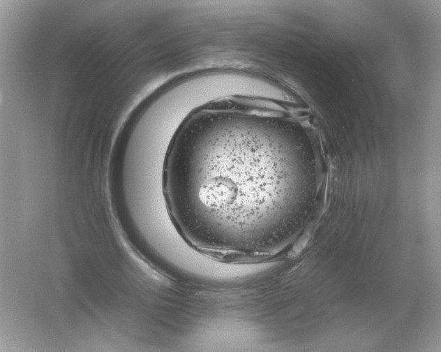 X0000061760726200512161742