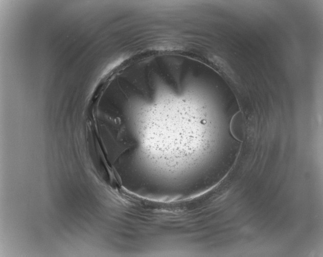 X0000061760727200512161743