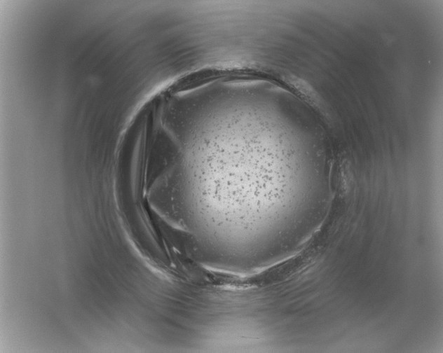 X0000061760728200512161743