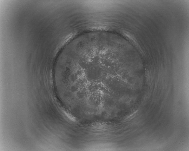 X0000061760729200512161743