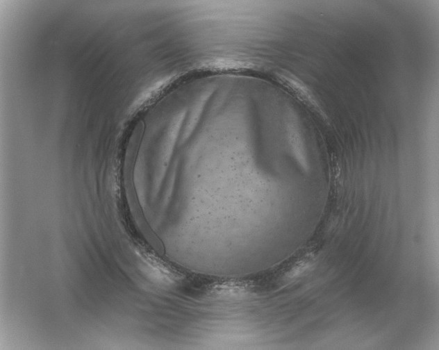 X0000061760732200512161743