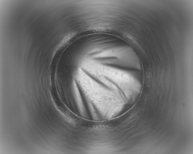 X0000061760734200512161743