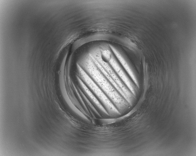 X0000061760735200512161743