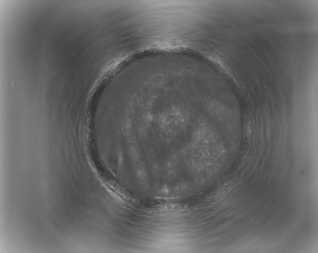 X0000061760736200512161743