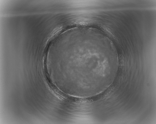 X0000061760738200512161743