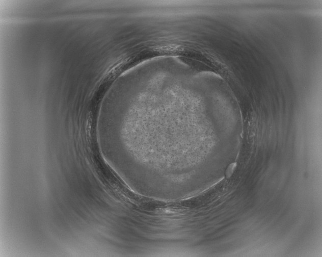 X0000061760739200512161743