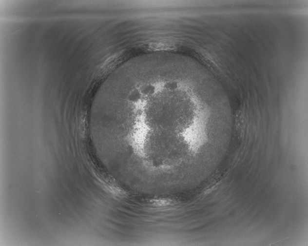 X0000061760741200512161743