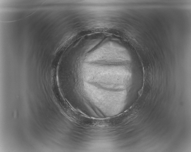 X0000061760742200512161743