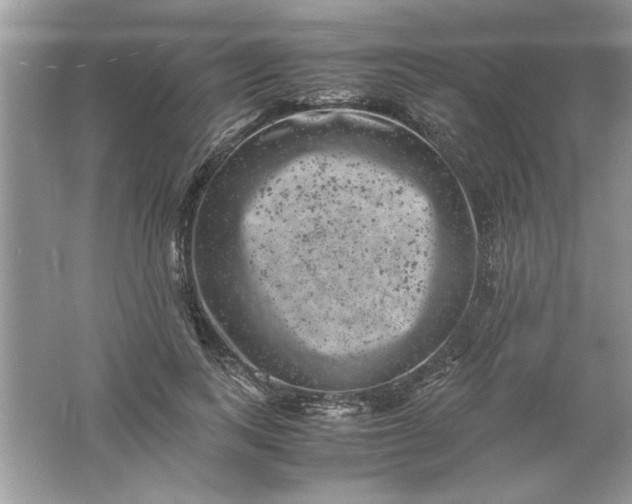 X0000061760743200512161743