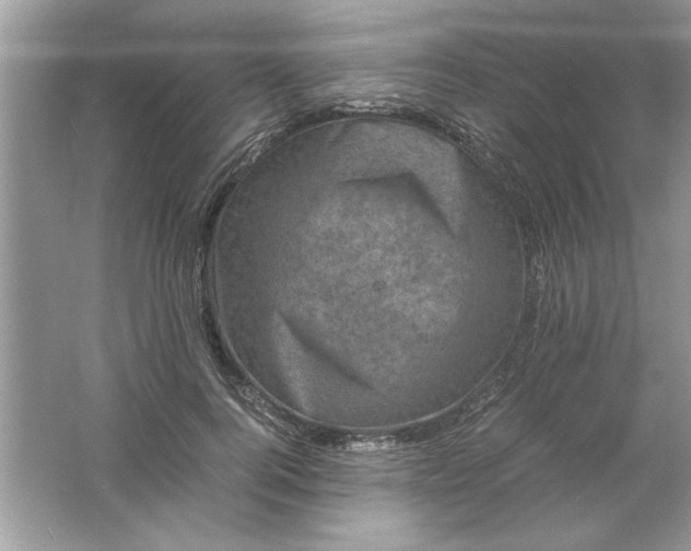 X0000061760744200512161743