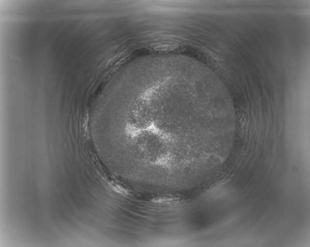 X0000061760745200512161743