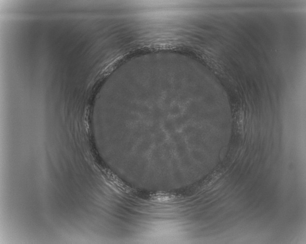 X0000061760746200512161743