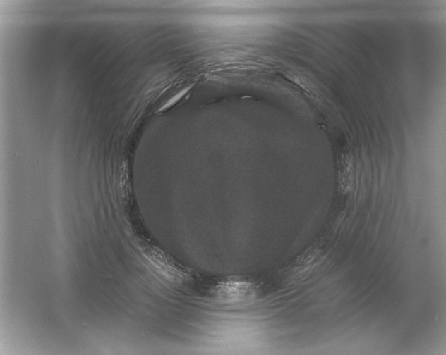 X0000061760748200512161743