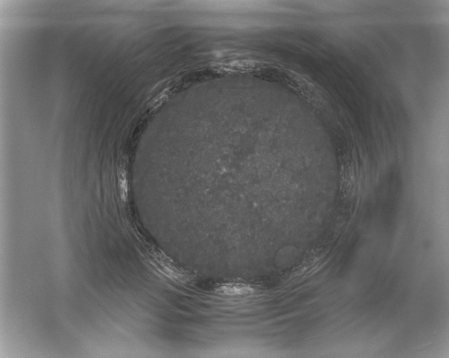 X0000061760749200512161743