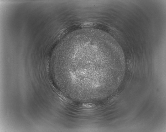 X0000061760753200512161743