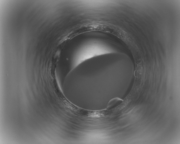 X0000061760754200512161743